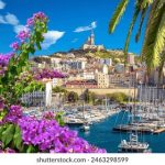 速映影院网站入口:畅享最新电影资源与精彩影评的最佳平台 1e1h674f