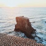 逆次元网页版登录入口网址:畅享游戏乐趣的便捷通道与指南 7b5ok7i03