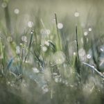 速映影院:畅享极速观影体验,尽在掌握 r6h144pl3