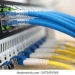 陈妮妮uni付费内容:探索她的创作背后故事与独特魅力 sa1u8o