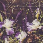 阿姨 漫画pdf:探索温馨幽默的家庭生活与亲情故事 xpkffvo